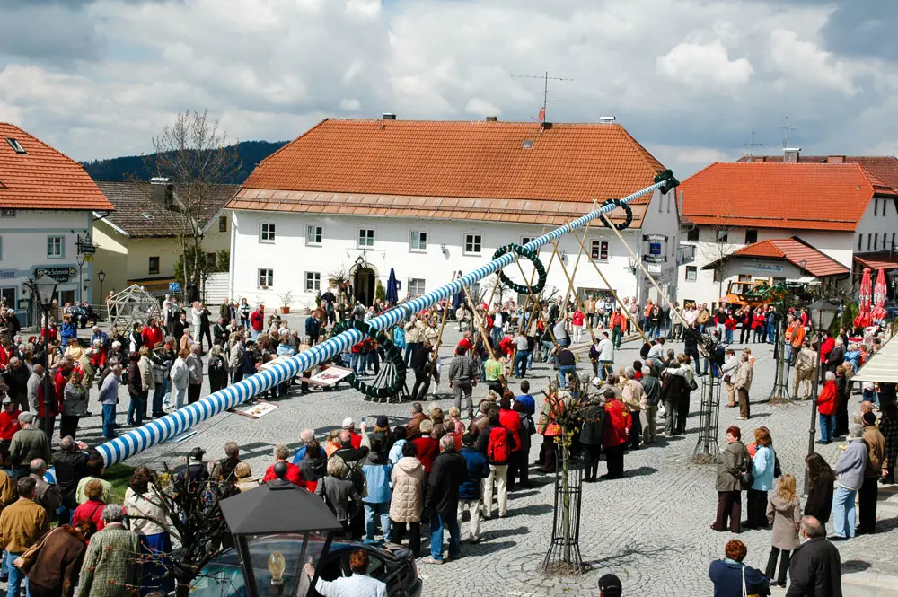 Bodenmais_Maibaum_aufstellen__DSC_4600_